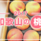 【2017】和歌山県で「あら川の桃」を入手できる直売所をご紹介します！